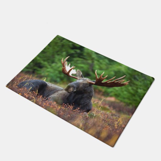 Moose Doormat Deurmat (Schuin)