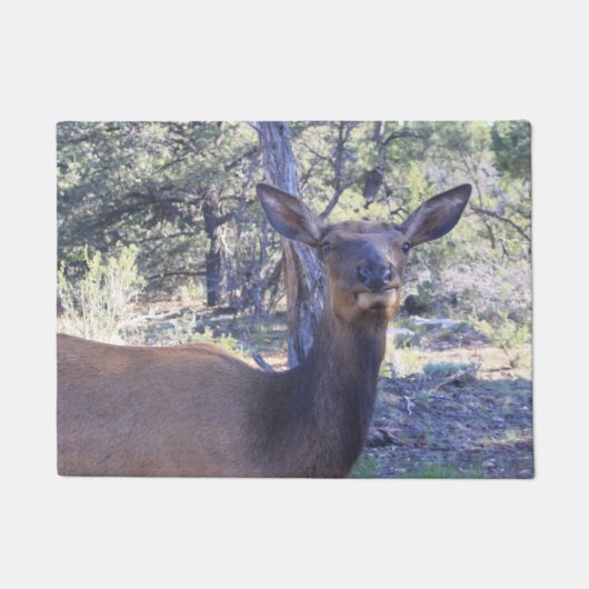Moose Doormat Deurmat (Voorkant)