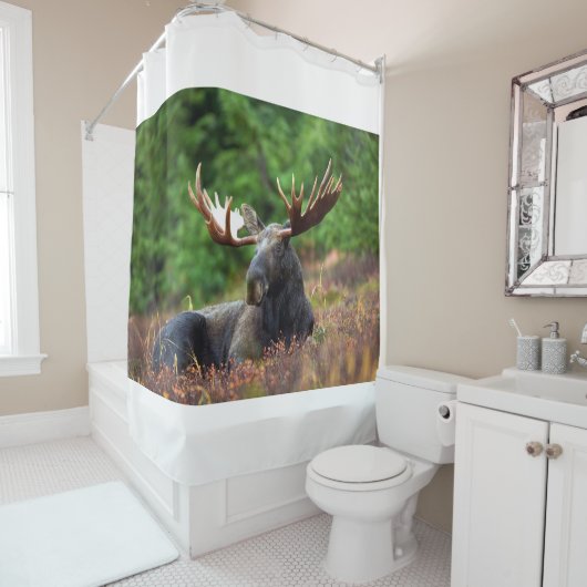 Moose Douchegordijn (In situ)