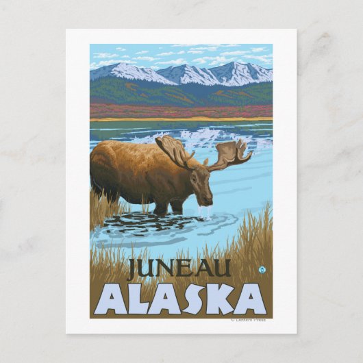 Moose Drink aan het meer - Juneau, Alaska Briefkaart (Voorkant)