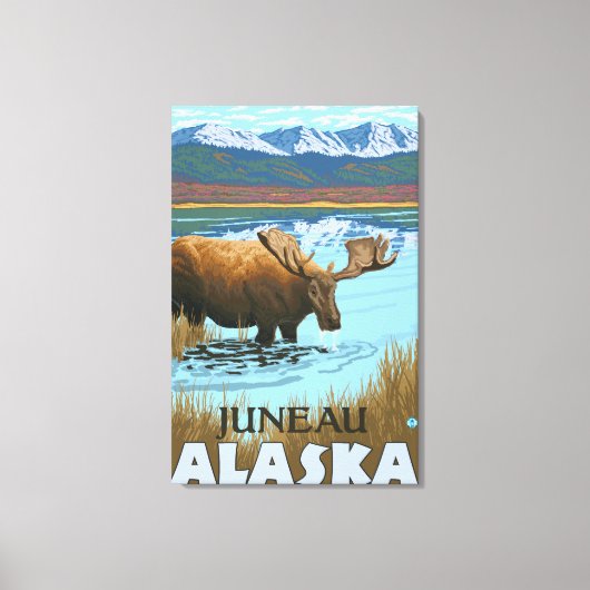 Moose Drink aan het meer - Juneau, Alaska Canvas Afdruk (Voorkant)