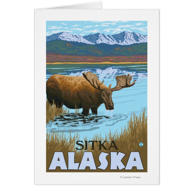 Moose Drink aan het meer van Sitka, Alaska (Voorkant)