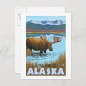 Moose Drink aan het meer van Valdez, Alaska Briefkaart (Voorkant / Achterkant)