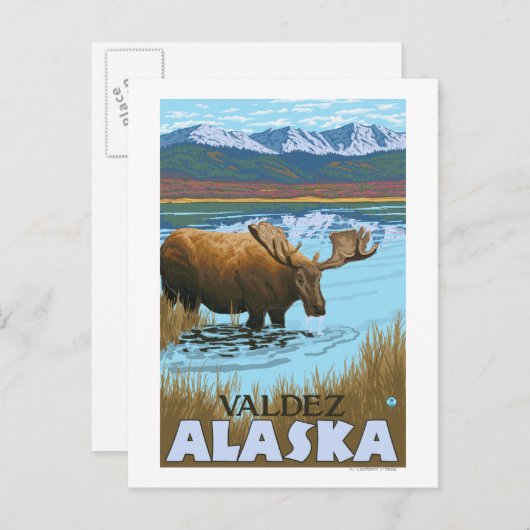 Moose Drink aan het meer van Valdez, Alaska Briefkaart (Voorkant / Achterkant)