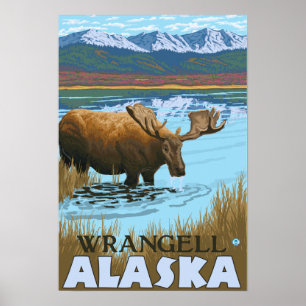 Moose Drink aan het meer van Wrangell, Alaska Poster