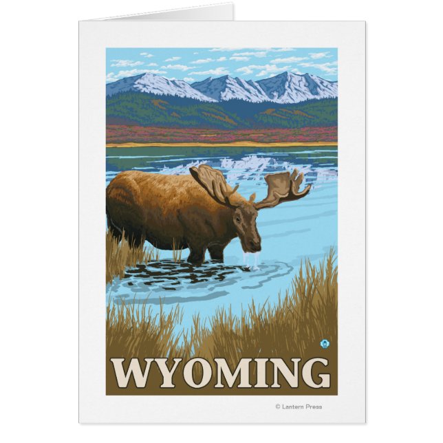Moose Drink aan het meer van Wyoming (Voorkant)