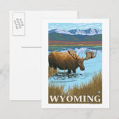 Moose Drink aan het meer van Wyoming Briefkaart (Voorkant / Achterkant)