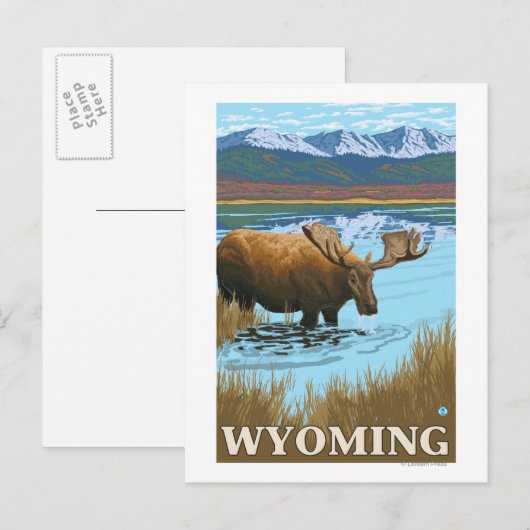 Moose Drink aan het meer van Wyoming Briefkaart (Voorkant / Achterkant)