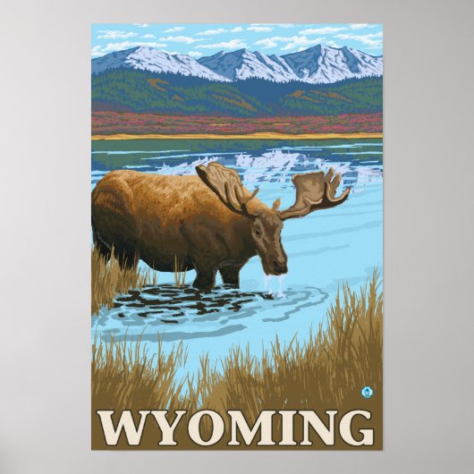 Moose Drink aan het meer van Wyoming Poster (Voorkant)