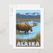 Moose Drink het meer van Latouche, Alaska Briefkaart (Voorkant / Achterkant)