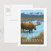 Moose Drink het meer van Montana Briefkaart (Voorkant / Achterkant)