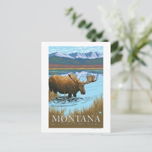 Moose Drink het meer van Montana Briefkaart (Staand voorkant)