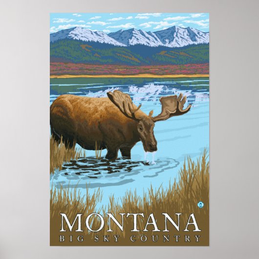 Moose Drink het meer van Montana Poster (Voorkant)