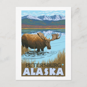 Moose Drink het meer van Petersburg, Alaska Briefkaart