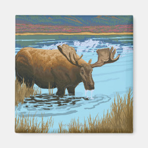 Moose Drink het meer - Yellowstone National Magneet