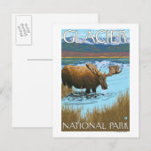 Moose Drink het nationaal park van het meer Glacie Briefkaart (Voorkant / Achterkant)