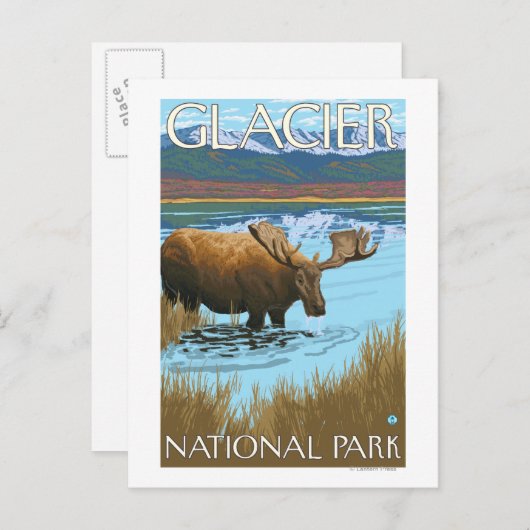 Moose Drink het nationaal park van het meer Glacie Briefkaart (Voorkant / Achterkant)