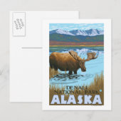 Moose Drink in het nationaal park van het meer van Briefkaart (Voorkant / Achterkant)