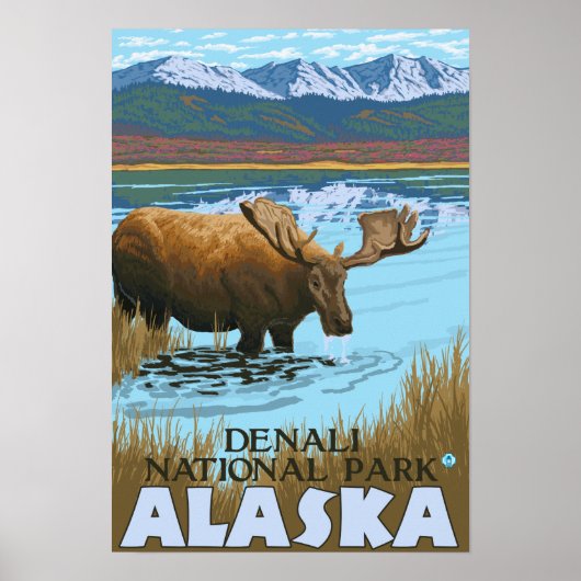 Moose Drink in het nationaal park van het meer van Poster (Voorkant)