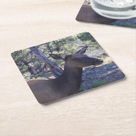 Moose Drink Onderzetter (Schuin)