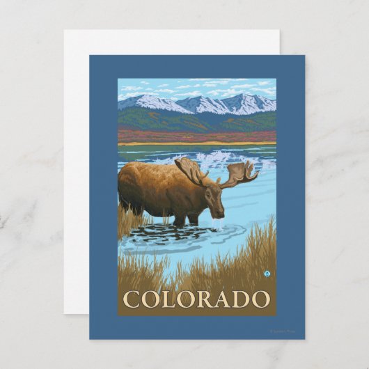 Moose DrinkingColorado Briefkaart (Voorkant / Achterkant)