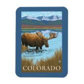 Moose DrinkingColorado Magneet (Verticaal)