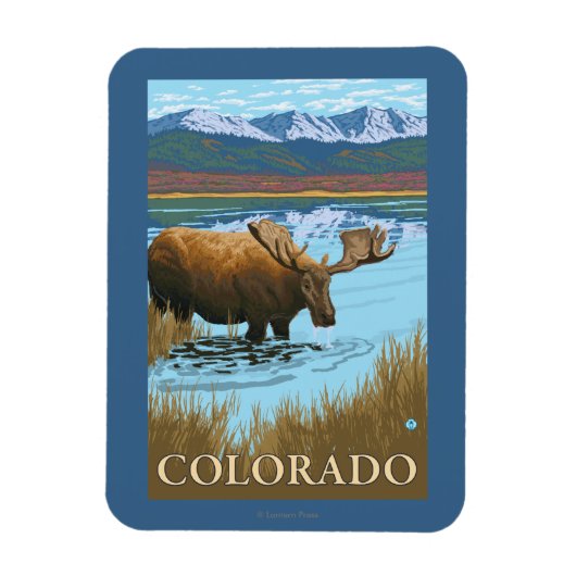 Moose DrinkingColorado Magneet (Verticaal)