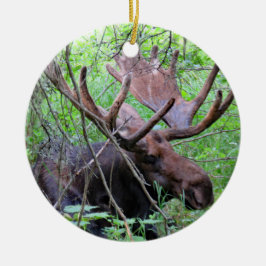 Moose en Loon Keramisch Ornament