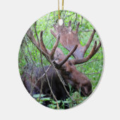 Moose en Loon Keramisch Ornament (Links)