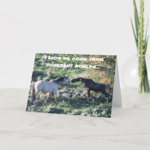 Moose Encounter Wenskaart Kaart