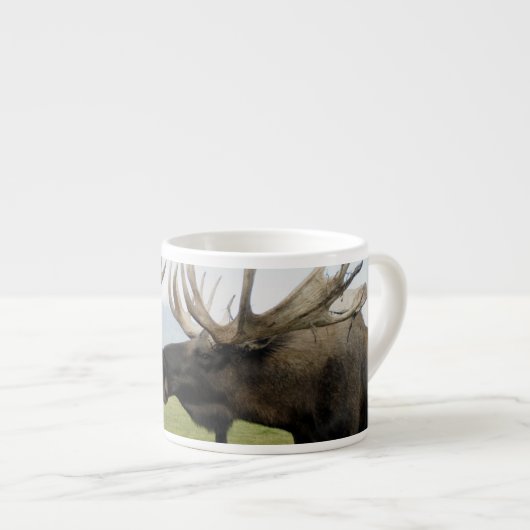 Moose Espresso Kop (Voorkant rechts)