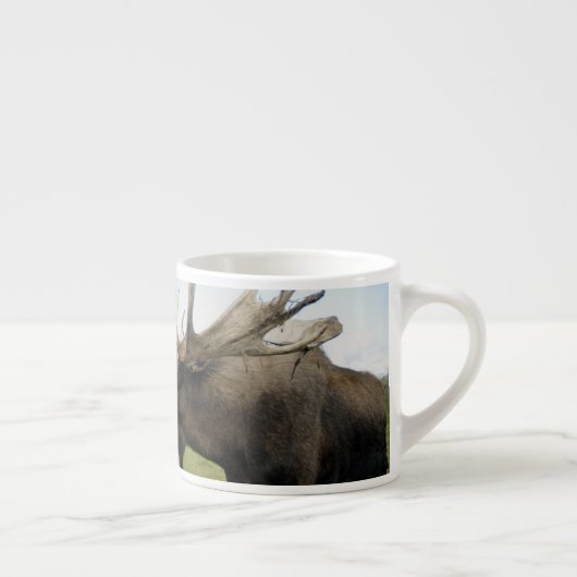 Moose Espresso Kop (Rechts)