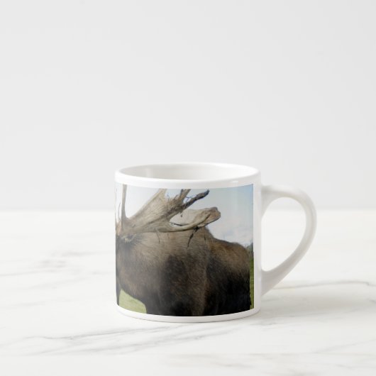 Moose Espresso Kop (Rechts)