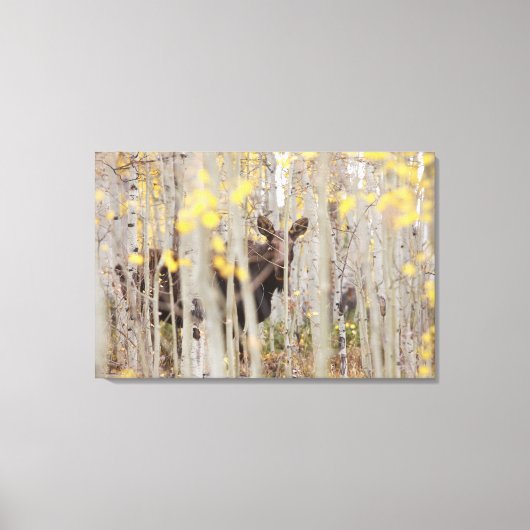 Moose Familie in de Aspens Canvas Art Afdruk (Voorkant)