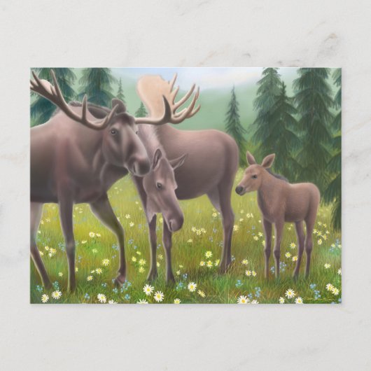 Moose Family Briefkaart (Voorkant)