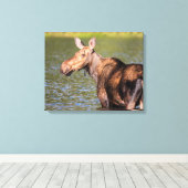 Moose Feeding in Glacier National Park, Montana Canvas Afdruk (Insitu (Houten vloer))