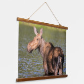 Moose Feeding in Glacier National Park, Montana Hangend Wandkleed (Gebogen)