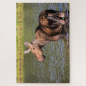 Moose Feeding in Glacier National Park, Montana Legpuzzel (Verticaal)