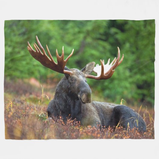 Moose Fleece Deken (Voorkant (Horizontaal))