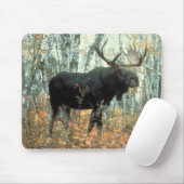 Moose Forest Trees Park Animal Wildlife Art Muismat (Met muis)