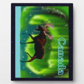 Moose Fotoplaat (Voorkant)