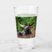 Moose Glas (Voorkant)