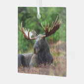 Moose Glas Ornament (Voorkant links)