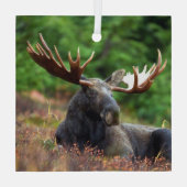 Moose Glas Ornament (Achterkant)