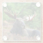 Moose Glazen Onderzetter (Achterkant)