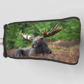 Moose Golfheadcover (Voorkant)