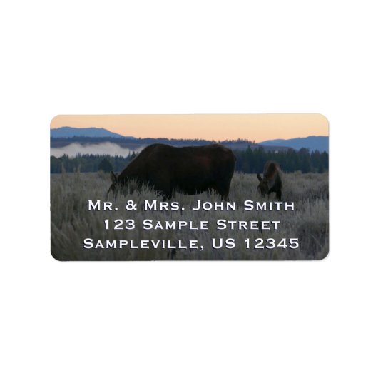 Moose Grazing op zonsopgang bij Grand Teton Etiket (Voorkant)