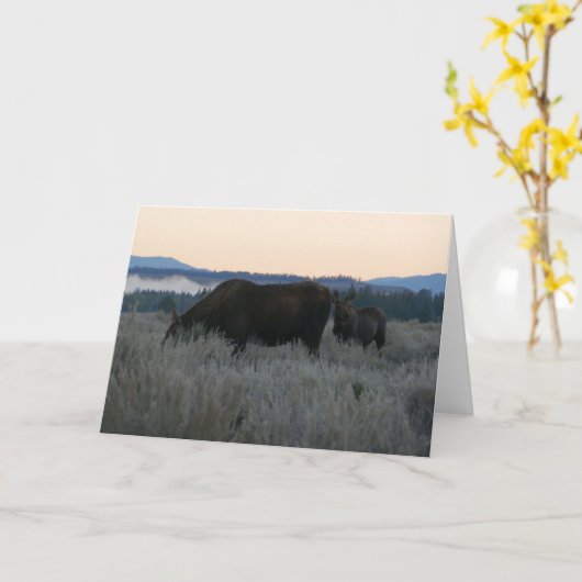 Moose Grazing op zonsopgang bij Grand Teton Kaart (Gele Bloem)