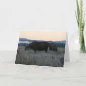 Moose Grazing op zonsopgang bij Grand Teton Kaart (Voorkant)