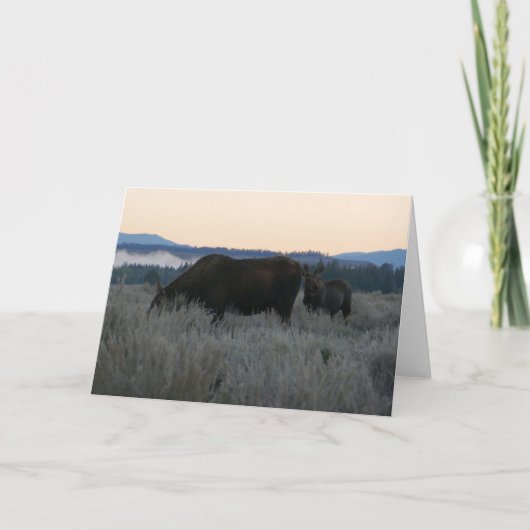 Moose Grazing op zonsopgang bij Grand Teton Kaart (Voorkant)